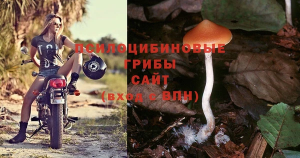 дживик Балахна