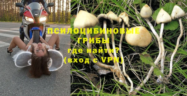 прущие крисы Баксан